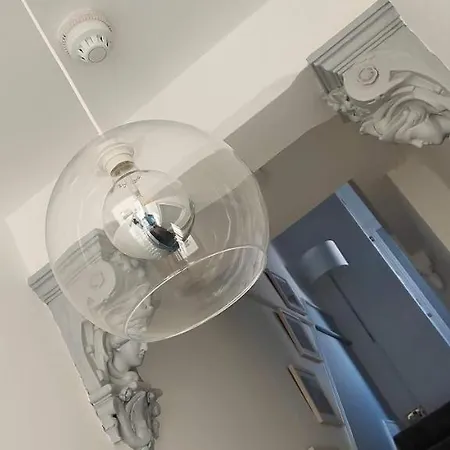 Squirrel 4*